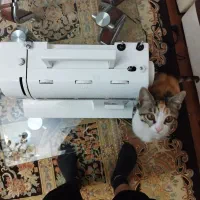 چرخ خیاطی کاچیران مدل جانتک sp7000