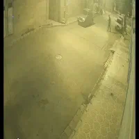 کبوتر