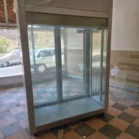 یخچال الکترو استل مرغ فروشی