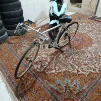 دوچرخه کورسی برند پژو|دوچرخه، اسکیت، اسکوتر|ملارد, |دیوار