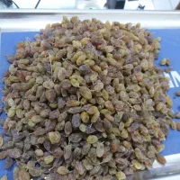 کشمش سایه خشک ملایر|خوردنی و آشامیدنی|ساوه, |دیوار