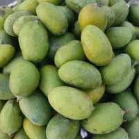 انبه ترشی