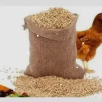 دانه مرغی تازه کیلو 55