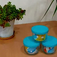 ظروف درب  دار