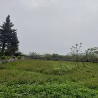 فروش زمین ویلایی در سرولات