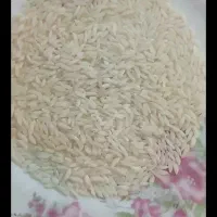 پیش فروش بزنج