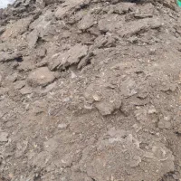 فروش کود مرغی گوشتی مستقیم از سالن به کشاورزان|خدمات باغبانی و درختکاری|اردبیل, |دیوار