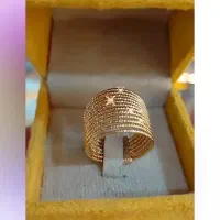 سرویس ژوپینگ|بدلیجات|کرمان, |دیوار