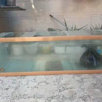 فروش آکواریوم سالم همراه تخفیف ویژه