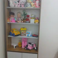ویترین و کتاب خونه