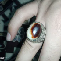 انگشتر ‌شجر‌و‌بابا‌قوری‌سنگ‌اصل