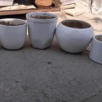 حراجی|حراج|قم, آذر (نکویی)|دیوار