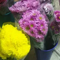 گل آرایی و گیفت