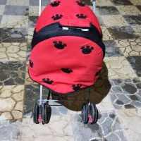 کالسکه|کالسکه و لوازم جانبی|قوچان, |دیوار