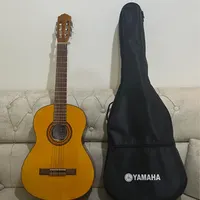 گیتار بهمراه کاور