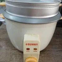 پلو پز و بخار پز سانی