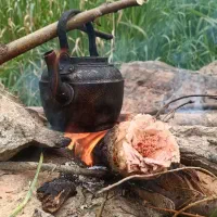 تور یک روزه ( مرخیل )