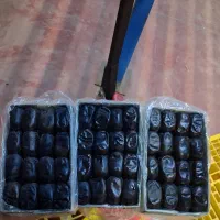 خرمای مضافتی درجه یک با تخفیف ویژه فقط کیلو 180
