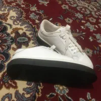 کفش نو سایز۴۴|کیف، کفش، کمربند|قوچان, |دیوار