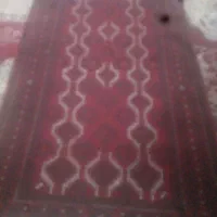 قایچه پشمی با تون پنبه ای