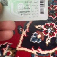 پژو روا ۸۶|خودرو سواری و وانت|همدان, |دیوار