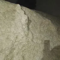 کاه فروشی|لوازم جانبی حیوانات|آشخانه, |دیوار