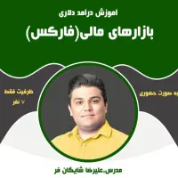 به صورت اصولی و حرفه ای فارکس رو یاد بگیر