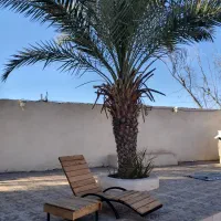 خانه باغ|اجارهٔ کوتاه‌مدت ویلا و باغ|شوشتر, |دیوار