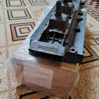 کوئل زانتیا