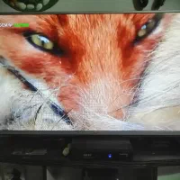 تلویزیون ال جی 43 اینچ