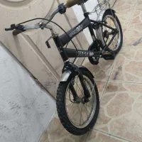 دوچرخهسواری|دوچرخه، اسکیت، اسکوتر|کیش, |دیوار