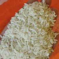 فروش برنج طارم هاشمی بوجاری|خوردنی و آشامیدنی|ساری, |دیوار