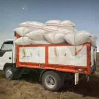 کاه گندم درجه یک