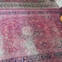 فرش دستباف|فرش|طبس, |دیوار