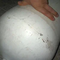 کپسول سی آن پراید|قطعات یدکی و لوازم جانبی|الوند, |دیوار