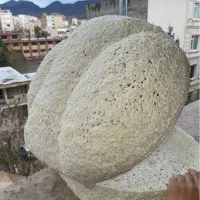 ست صدف عروس نامزدی بله برون عید ی جا حلقه ای خنچه