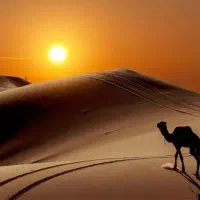 تورهای یک  روزه  کویر ابوزید آباد و مرنجاب