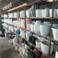 گل وگلدان|گل و گیاه طبیعی|آستانه اشرفیه, |دیوار