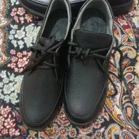 کفش|کیف، کفش، کمربند|قم, محمد آباد|دیوار