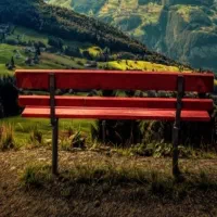 نیازمند کارگر برای گلخانه ماهانه
