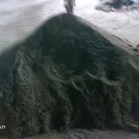 یونجه وپرس یونجه|لوازم جانبی حیوانات|بروجرد, |دیوار