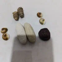 انواع سنگ ومهره کمیاب و کلکسیونی واصل