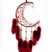 آویز ماشین|کلکسیون و سرگرمی|برازجان, |دیوار