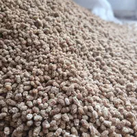 مغز پسته .بنه.بادام. تخمه هندوانه. عناب|عمدهفروشی|قائن, |دیوار