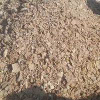 فروش نان‌خشک  قیمت توافقی