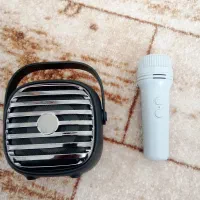 اسپیکر کوچک با میکروفون