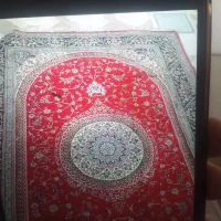 قالی ۶ متری