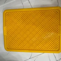 پارک و لوازم حیوانات|لوازم جانبی حیوانات|رشت, لاکان شهر|دیوار