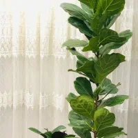 گل طبیعی