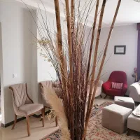 فروش گلدان بامبو